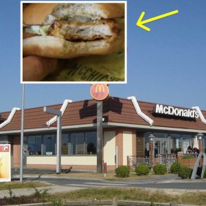 Family Pulls Out Camera For Proof Of What McDonald’s Put On All Of Their Sandwiches