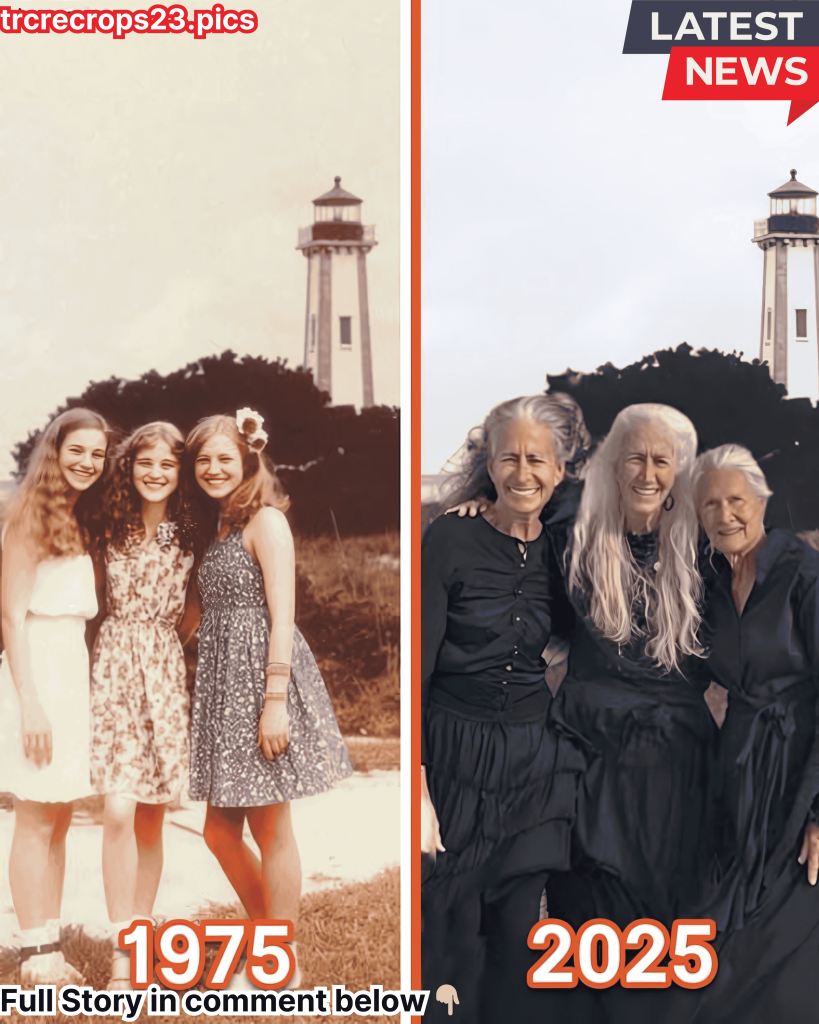 Three Women in Their Golden Years Set Off on a Journey to Fulfill Their Wildest Dreams – Story of the Day