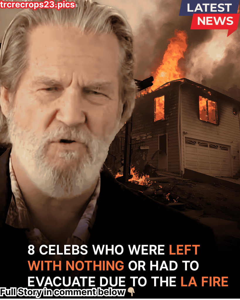 8 Celebs Who Lost Their Homes or Had to Evacuate amid Los Angeles Wildfires