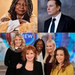 Elon Musk called for a boycott of The View, calling it “a meeting place for ignorant women.” Immediately after, the entire cast responded fiercely