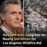 Newsom Asks Congress for Nearly $40 Billion for Los Angeles Wildfire Aid