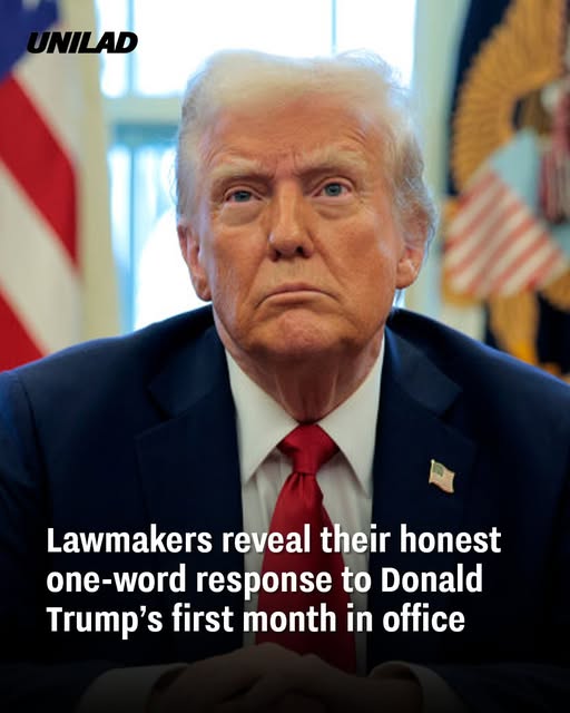 Lawmakers reveal their honest one-word response to Donald Trump’s first month in office