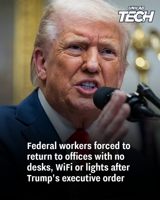 Federal workers forced to return to offices with no desks, WiFi or lights after Trump’s executive order