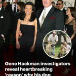 Gene Hackman investigators reveal heartbreaking ‘reason’ why his dog Zinna died – and why their other pets survived