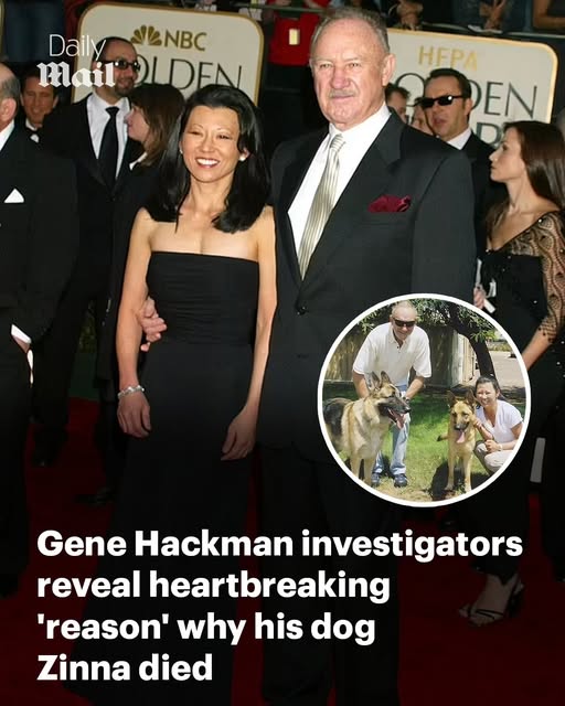 Gene Hackman investigators reveal heartbreaking ‘reason’ why his dog Zinna died – and why their other pets survived