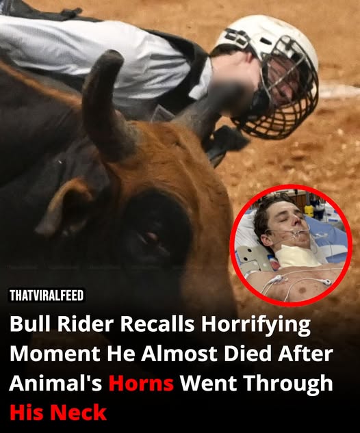 Bull Rider Shares Terrifying Moment He Nearly Died After Being Gored Through The Neck