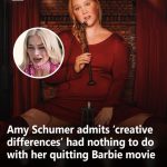 Amy Schumer admits ‘scheduling conflicts’ had nothing to do with her quitting lead Barbie movie role