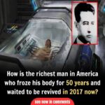Frozen in Time: The First Cryogenically Preserved Man Still Awaits Revival