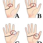 MBTI Personality Test: Discover Which of the 16 MBTI Types You Are..🔗Continue reading in the first comment ⬇️