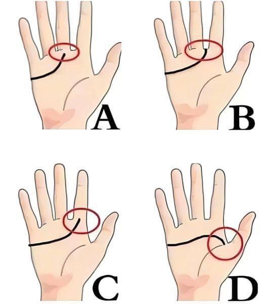 MBTI Personality Test: Discover Which of the 16 MBTI Types You Are..🔗Continue reading in the first comment ⬇️