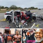 R.I.P. Mike Tyson Just Died In The Hospital, Along With His Last Regret….see more