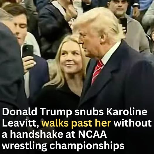 Trump snubs Karoline Leavitt, walks past her without a handshake at NCAA wrestling championships