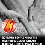 Your feet can warn you about clogged arteries and heart disease