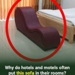 Why do hotels and motels often put this sofa in their rooms ?What is it for…. See more