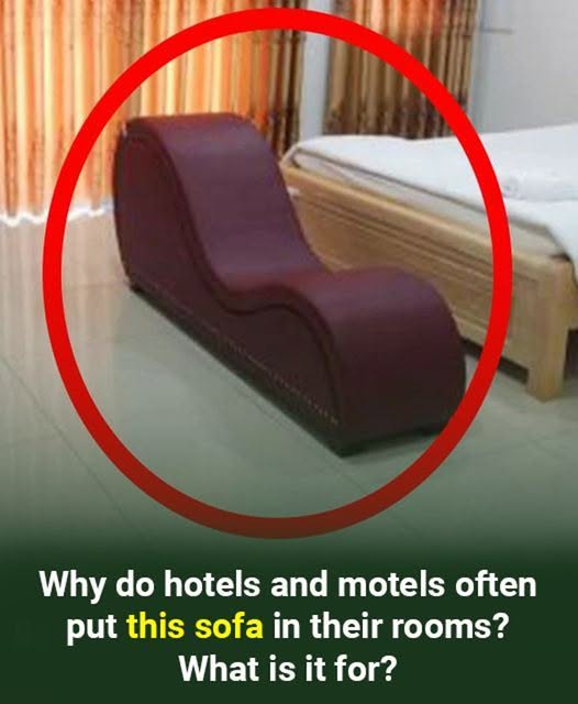 Why do hotels and motels often put this sofa in their rooms ?What is it for…. See more