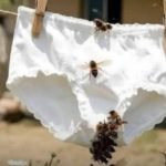 BE CAREFUL, If you spot these dots on your skin, it means you have Ca…see more