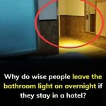 This Is Why You Should Turn A Bathroom Light On When Sleeping at a Motel or Motel