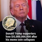 Donald Trump supporters lose $12,000,000,000 after his meme coin collapses