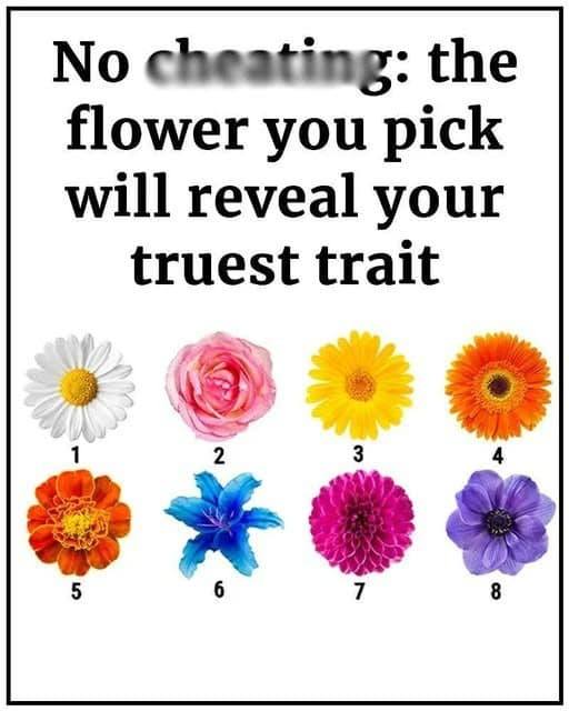 True Meaning of these flower