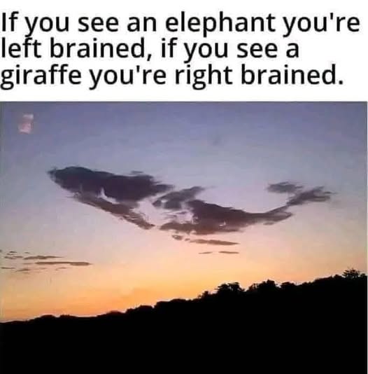 if you see an elephant you’re left brained, if you see a giraffe you’re right brained