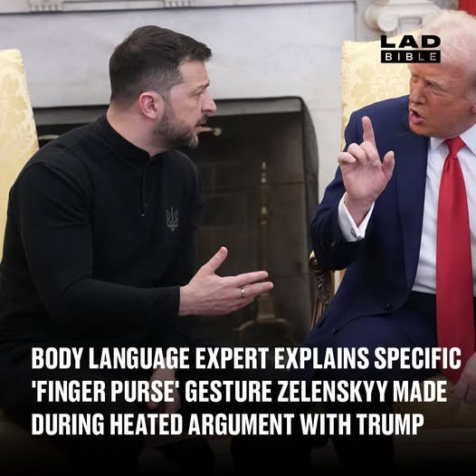 Body language expert explains specific ‘finger purse’ gesture Zelenskyy made during heated argument with Trump