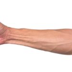 How to check if you’ve lost this tendon on your arm to evolution