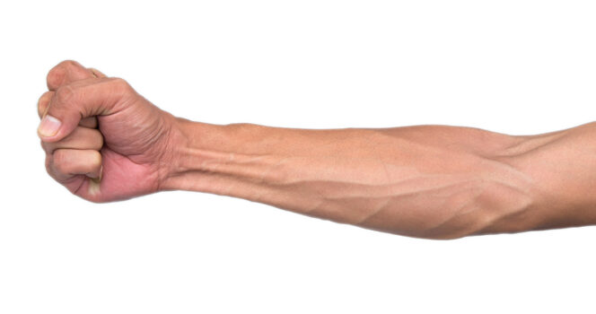 How to check if you’ve lost this tendon on your arm to evolution