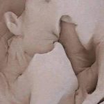 🧑‍🦰 8 Steps to make a woman come in less than a minute 🕛…See Mor