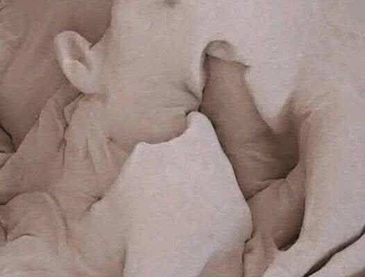 🧑🦰 8 Steps to make a woman come in less than a minute 🕛…See Mor