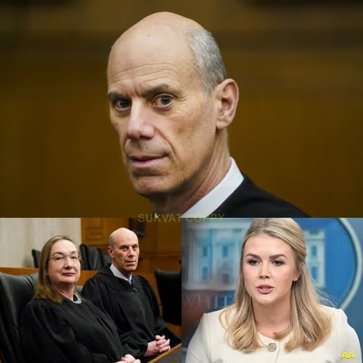 H-Federal judge James Boasberg and his wife lost their temper when Karoline Leavitt exposed