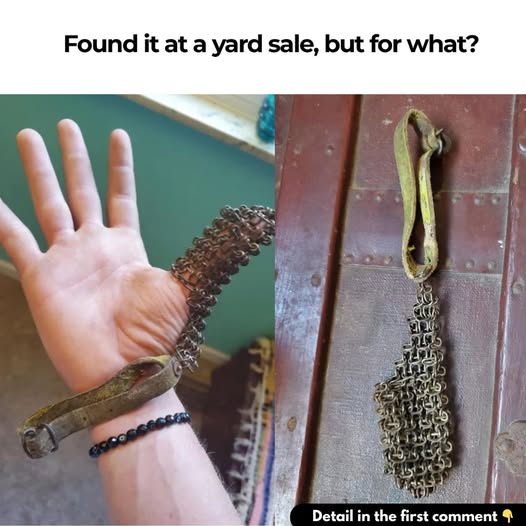 Mysterious object found at yard sale sparks curiosity