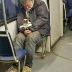 HE SAID HE WAS JUST “KEEPING HER WARM”—BUT IT MEANT SO MUCH MORE