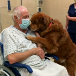 The Patient’s Plea for “Murphy”—A Name That Puzzled Everyone