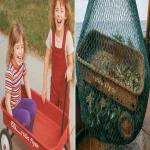 Sisters Vanished Playing Outside in 1985 — 15 Years Later Fisherman Pulls This From Sea…