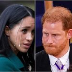 RF. Breaking News: Prince Harry’s Health Condition Sparks Immediate Response from King Charles and Prince William