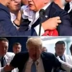 Breaking News: President Donald Trump Rushed from White House Amid Emergency