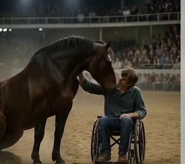 A paralyzed teen rolls into the arena—then the wild stallion’s response brings everyone to tears.