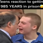 Teen Sentenced to 985 Years in Prison — Courtroom Reaction Goes Viral