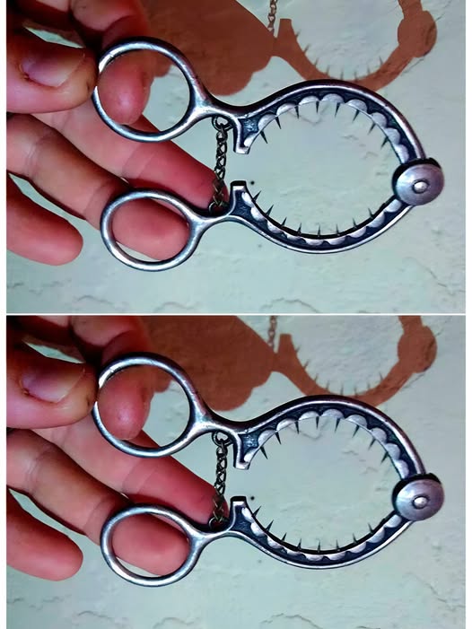 The Mysterious Metal Tool I Found in My Grandparents’ House Left Me Speechless