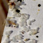 At First, I Thought It Was Nothing… Then I Looked Closer