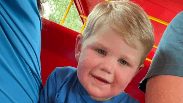 Yellow Jacket Encounter Sends Georgia Toddler to Hospital