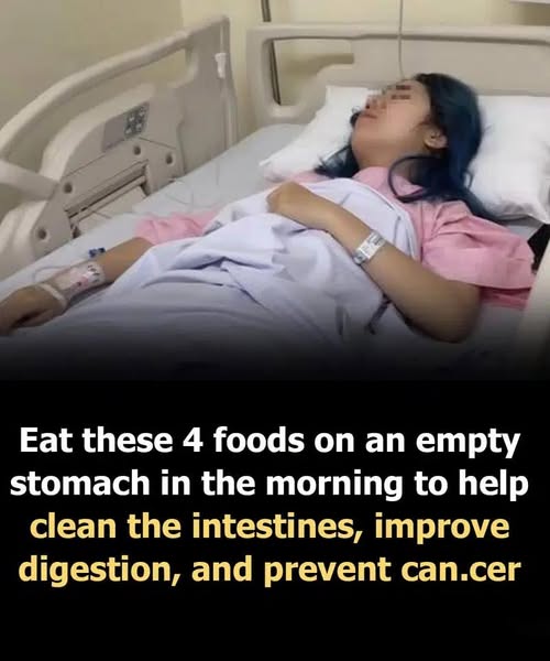 Eat these 4 foods on an empty stomach in the morning to help clean the intestines, improve digestion, and prevent cancer