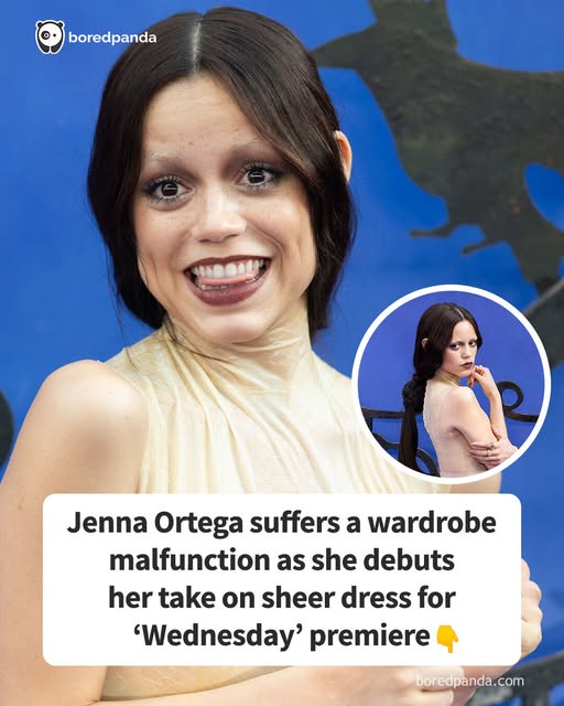 “Is The Dress Made From Chicken Leg Skin?”: Jenna Ortega’s Take On Sheer Dress Trend Sends Fans Wild