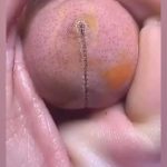 25🔞 Innocent Photos That Prove You Have A Dirty, Dirty Mind