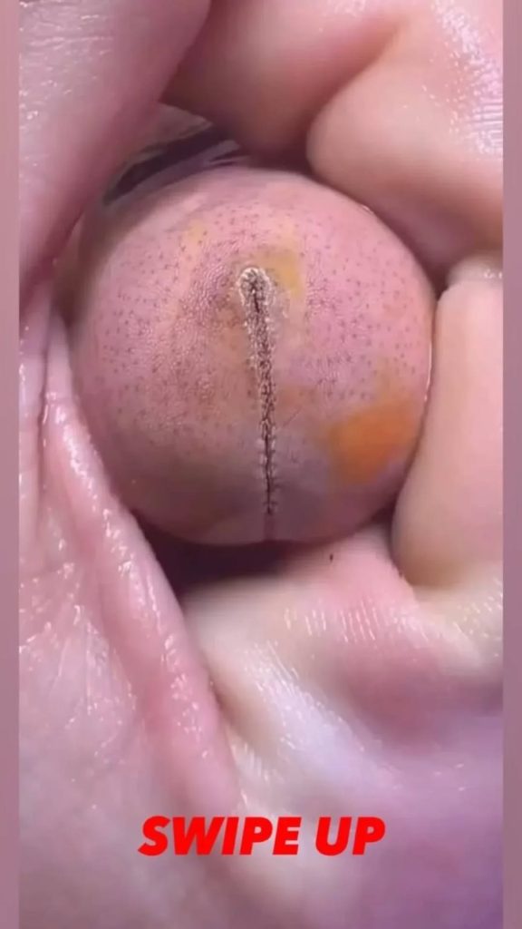 25🔞 Innocent Photos That Prove You Have A Dirty, Dirty Mind