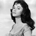 ✨ The Fiery 1960s Icon Who Conquered Hearts and Screens